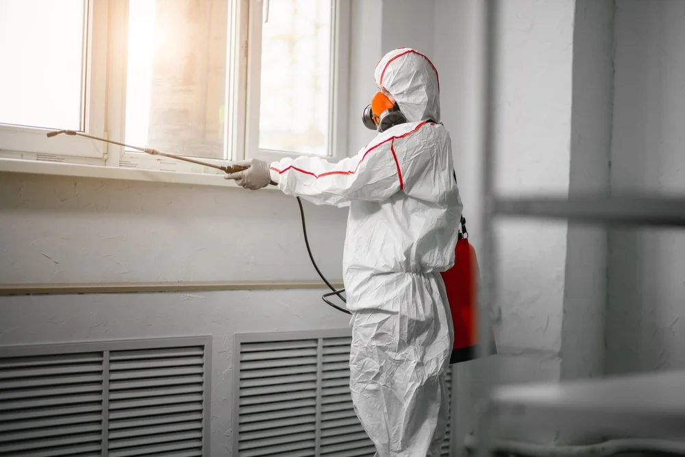 Professional mold remediation services in Algoma, WI